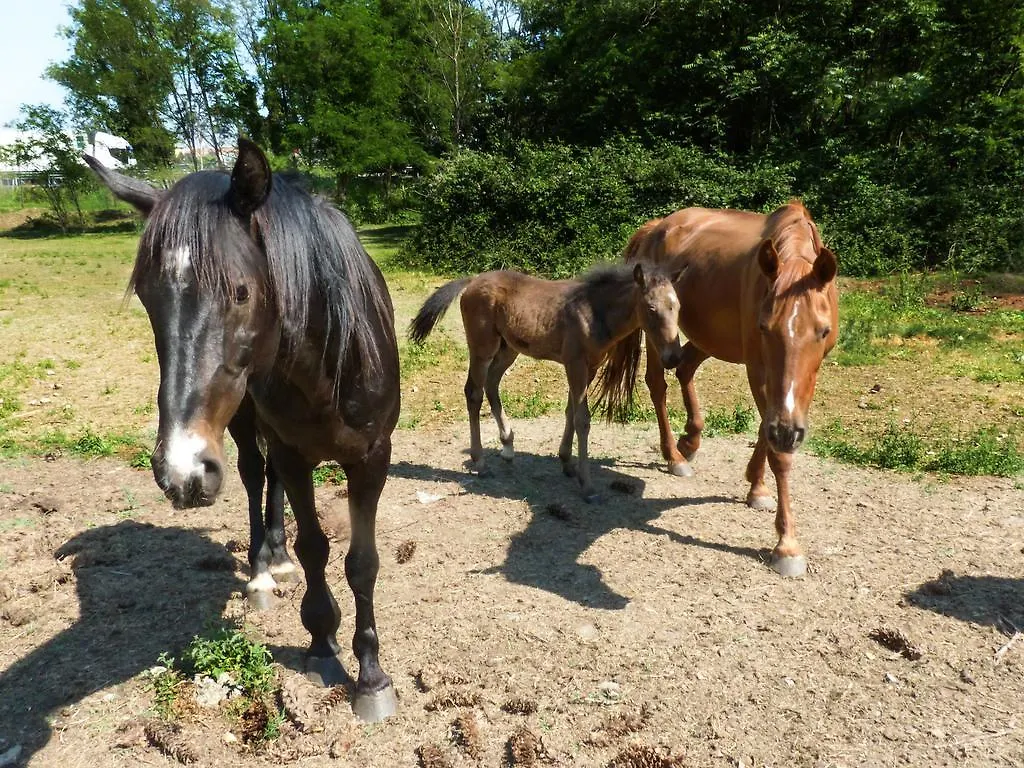 Agriturismo Dolce Luna Milan Farm stay